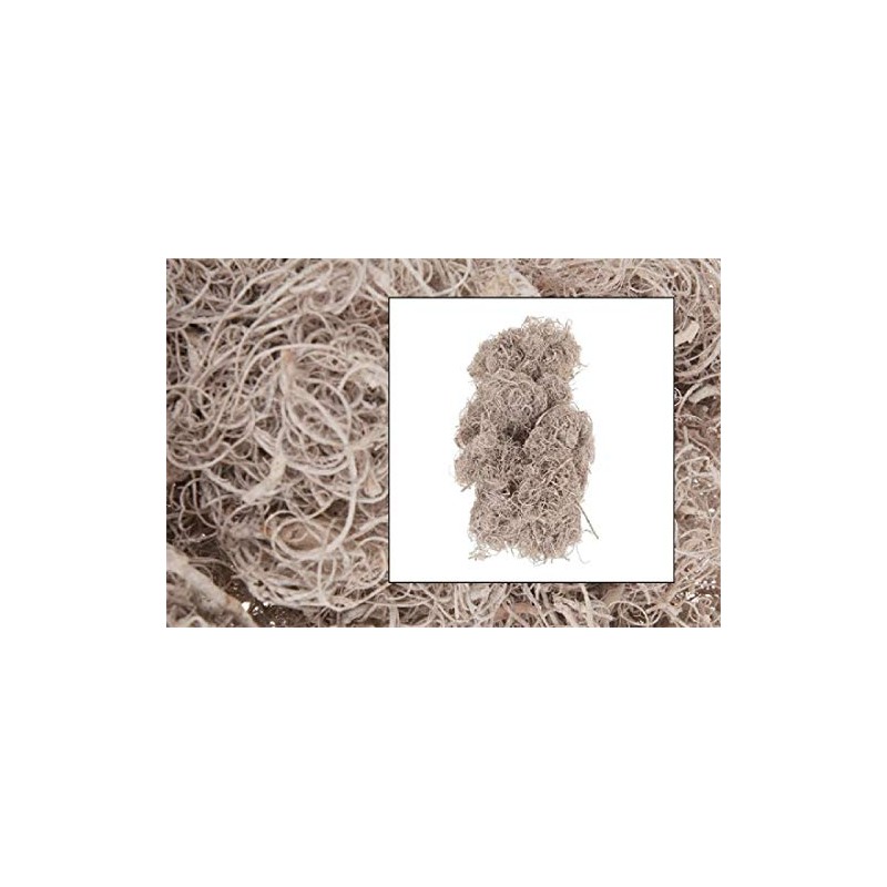 Schreiber Deko Curly Moss / White Washed / 500 g