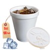 8OZ Foam Cups for Hot & Cold Drinks With Lids,