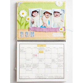 SRM Stickers Baby's First Year - Girl