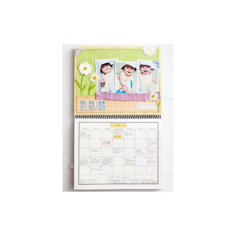 SRM Stickers Baby's First Year - Girl