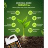 Fox Farm Bushdoctor Boomerang Fertilizer - for Fast Recovery of