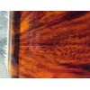 Speert Austrian Tortoiseshell Nail Brush Scrubbing Fingernail Nail Scrub Cleaner