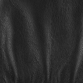 Conductive Leather Gloves Stetson men´s full-fingered (9 HS - black)