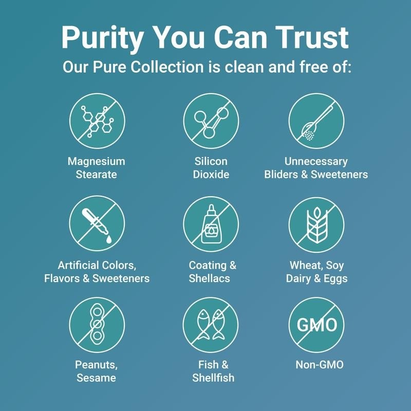 Micro Ingredients Turmeric Veggie Capsules – Family 3-Pack