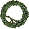 Rayher Hobby Box Tree Garland, 5 m Roll - 5107300