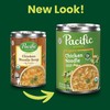 Pacific Foods Organic Chicken Noodle Soup, 16.1 oz Can (Pack