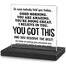 You Got This Desk Plaque, Inspirational Home Office Desk Signs for Women Coworkers Friend Family, Positive Affirmations Sign for Office Home Desktop Bookshelf Cubicle WDSS49