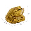 Wschic Feng Shui Money Frog, Lucky Money Toad Decorations,Ideal for