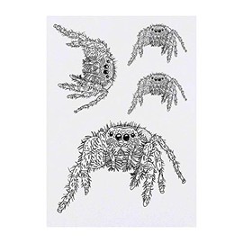 4 x 'Hairy Tarantula' Temporary Tattoos - Water Resistant, Skin-Safe, Non-Toxic Transfers, Mixed Sizes (TO00006445)