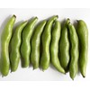 Edamame Midori Giant Bean Seeds - Delicious Large Edamame that