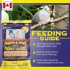 Hagen Pigeon & Dove Seed, Original Formula Bird Food, 6