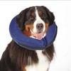 INFLATABLE DOG COLLAR Soft Alternative to Elizabethan Collars to Protect