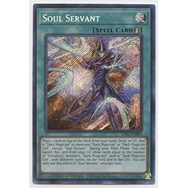YU-GI-OH! Soul Servant - LDS3-EN095 - Secret Rare - 1st Edition