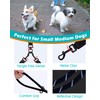 PetBonus Rope Double Dog Leash, No Tangle Dual Leash, Reflective