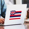 CafePress HAWAII STATE FLAG Rectangle Sticker Rectangle Bumper Sticker Car