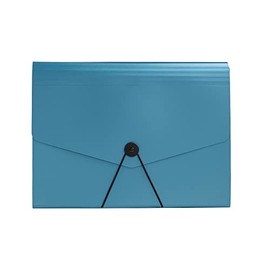 Office Depot® Brand Plastic File, 13 Pocket, Expansion 5-1/2", 8 1/2" x 11", Letter, Blue, Pack of 1
