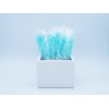 Light Blue Rock Candy on a Stick (72 Pack) -