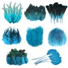 Molirex 160Pcs Blue Feathers for Crafting 8 Styles Pheasant Craft