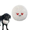 Veinbuty Squeaky Dog Balls,2 in 1 Interactive Plush Dog Toy