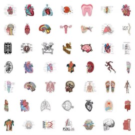 Human Anatomy 20 Random Human Anatomy Stickers Physiology Decals Laptop Hydro Free Shipping!