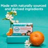 Toms of Maine Natural Beauty Bar Soap With Moroccan Argan