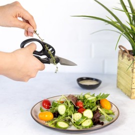 KitchInventions Strip-n-Snip™ - Herb Stripping Multi-use Scissors with Stainless Steel Blades (Black)