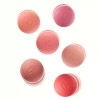 Clio [2EA] 클리오 NEW 볼륨메이트 틴트 (글로스/블러)+(증정)립앤아이리무버31ml [102 바운시베리_블러] [2EA]
