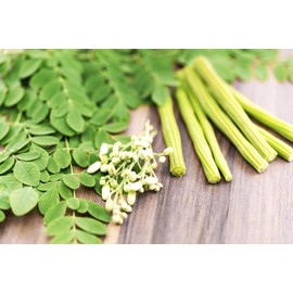 TomorrowSeeds - Moringa (Drumstrick Tree) Seeds - 30+ Count - For 2025 Planting Moringa Oleifera Drumstick Horseradish Edible Pods Flowers Malunggay Indian Perennial Tree Grow Your Own Home Farm Patio