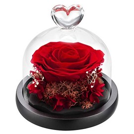 Forever Roses Preserved Real Flowers Eternal Enchanted Rose Flower Box for Valentines Birthday Anniversary Mother's Day Christmas(Red)