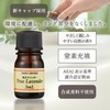 Daily Aroma Essential Oil Bergamot (0.6 fl oz (2 ml)