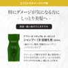 Abreze CR Series Shampoo, Beauty Salon Exclusive Product, Extra Damage