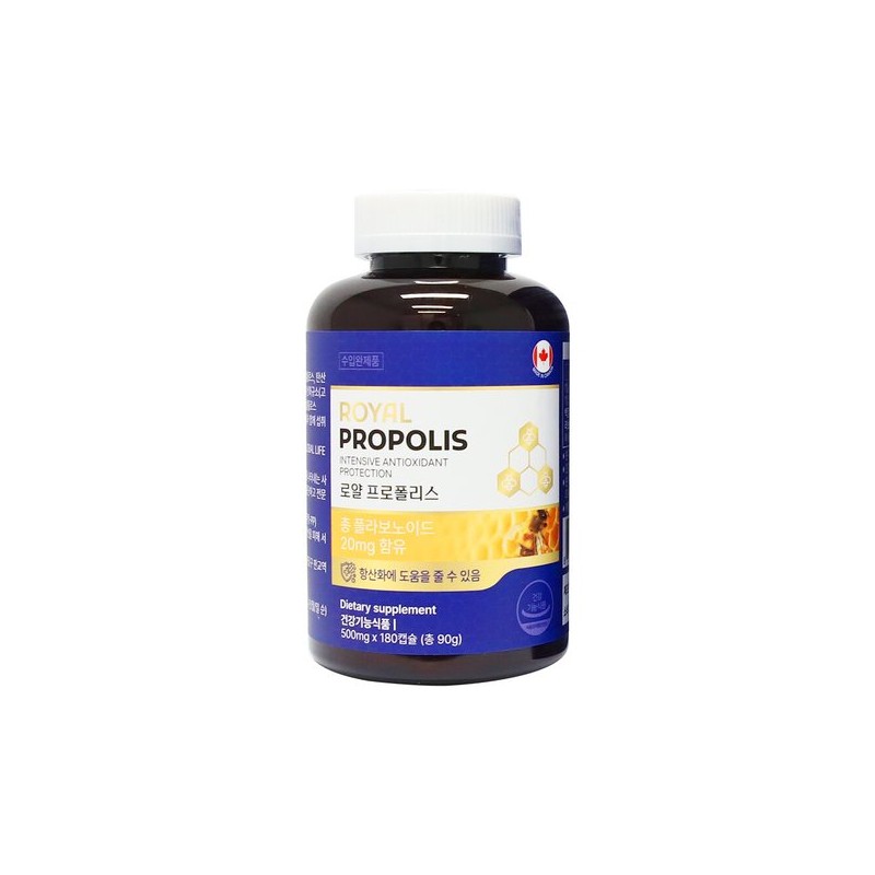 로얄 프로폴리스 500mg 180캡슐 Royal Propolis 500mg 180 Capsules