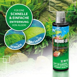 Microbe-Lift Algaway - 118 ml - Algenvernichter - Schnelle & effektive Algenbekämpfung für Süßwasseraquarien, verhindert Neubildung, sicher für Fische und Pflanzen.