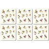 Garden Birds Melamine Coasters - Set 1, Pack of 6