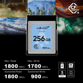 Exascend Element 256GB CFexpress Type B 1200MB/s Write Speed, 1800MB/s Read Speed, for RAW 4K Video For Professional Grade DSLR and Video Cameras Sustained Write 450MB/s