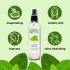 GreenHealth Spearmint Hydrosol (Floral Water) - 32 fl oz Plastic