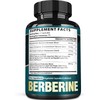 SATOOMI 25in1 Berberine Supplement - Body Management & Immune System