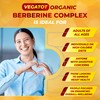 VEGATOT VEGATOT GlucoSavior Berberine Supplement with Ceylon Cinnamon, Bitter Melon,