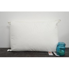 IHG Loves To Be Washed KING FIRM Pillow - Featured at IHG Hotels FREE PILLOWCASE