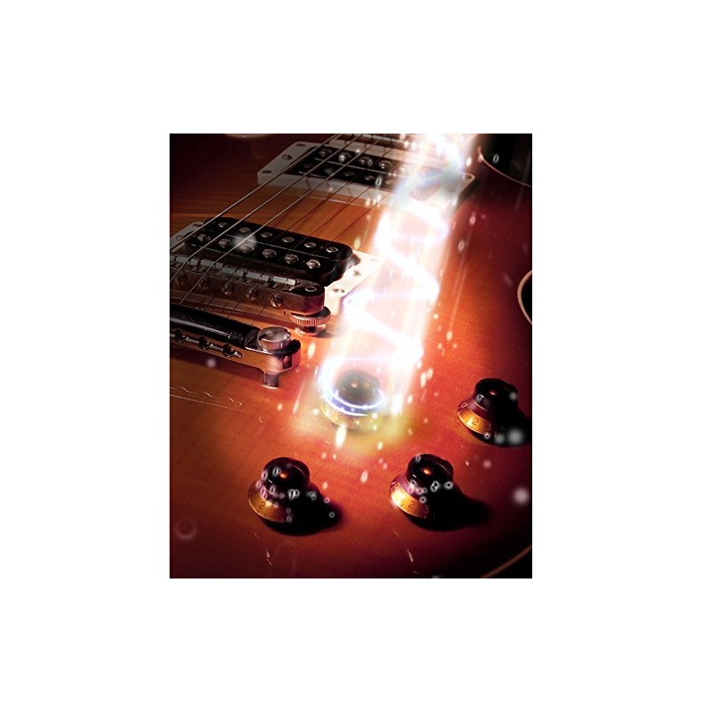 Shadow Kill Pot with 250 kOhm Resistance/Single Coil Pickups/Momentary Switch/Volume