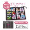 Sekisei XP-8900-22 Album Salmon