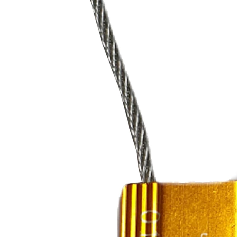 KetoPlastics 2X Shipping Steel Drum Locks Wire Security Barrel Lock