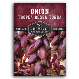 Tropea Rossa Tonda Onion Seeds for Planting - 1 Packet with Instructions to Plant and Grow Italian Long Day Onions in Your Home Vegetable Garden - Non-GMO Heirloom Variety - Survival Garden Seeds