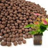 BIOMAND 12qt LECA Clay Pebbles for Plants, 10-20mm LECA Balls