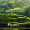 Pinestone Tea - Loose-leaf Chinese Green Tea, Lung Ching/Longjing (Dragon