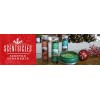 Scentsicles Scented Christmas Ornaments Set 3 Bottles White Winter Fir