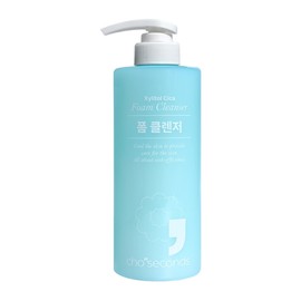 Cho Seconds Xylitol Cica Foam Cleansing 500ml / Hypoallergenic, Cooling, Soothing, Sebum Control, Extra Large Size / 초세컨즈 자일리톨 시카 폼클렌징 500ml  저자극 쿨링 진정 피지관리 초대용량