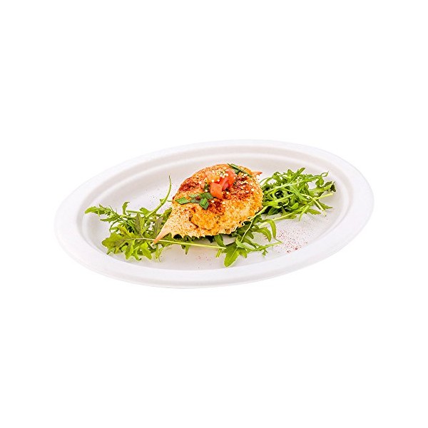 Pulp Tek 10.4 x 7.8 Inch Eco-Friendly Plates, 100 Medium Disposable Dinner Plates - Made From Sugarcane Fibers, Heavy-Duty, White Bagasse Biodegradable Plates, Compostable, Oval - Restaurantware
