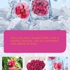 Freeze-Dried Diced Dragon Fruit Snack - 4.23 Oz,Freeze-Dried Pitaya grain