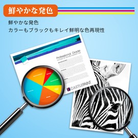 BCI-301M Magenta Canon TS7530 Compatible Ink Canon 301 300 Ink 2 Ink Remainage Indicator International Certification Individually Packaged